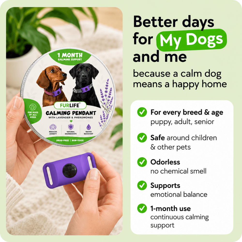 FurLife™ Calm & Comfort Dog Pendant