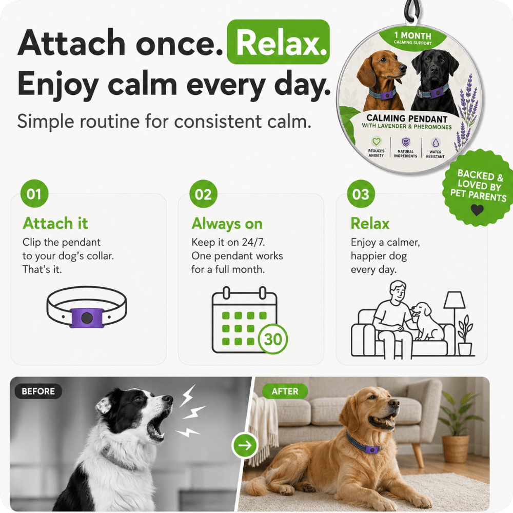 FurLife™ Calm & Comfort Dog Pendant