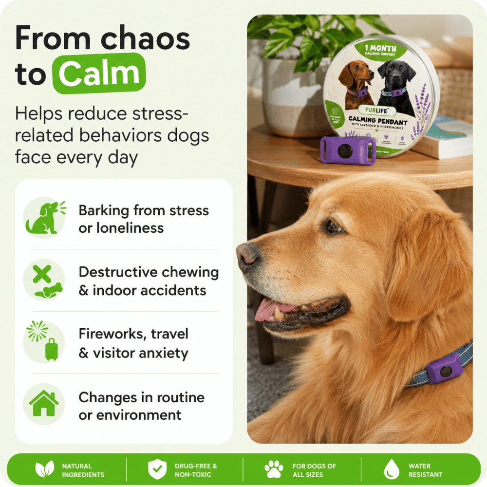 FurLife™ Imprint - Relax and Calming Pheromone Pendant