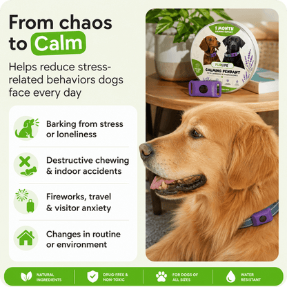 FurLife™ 1 Month Calm & Comfort Pendant