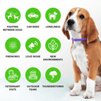 FurLife™ - Natural Pheromone Calming Collar