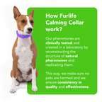 FurLife™ - Natural Pheromone Calming Collar
