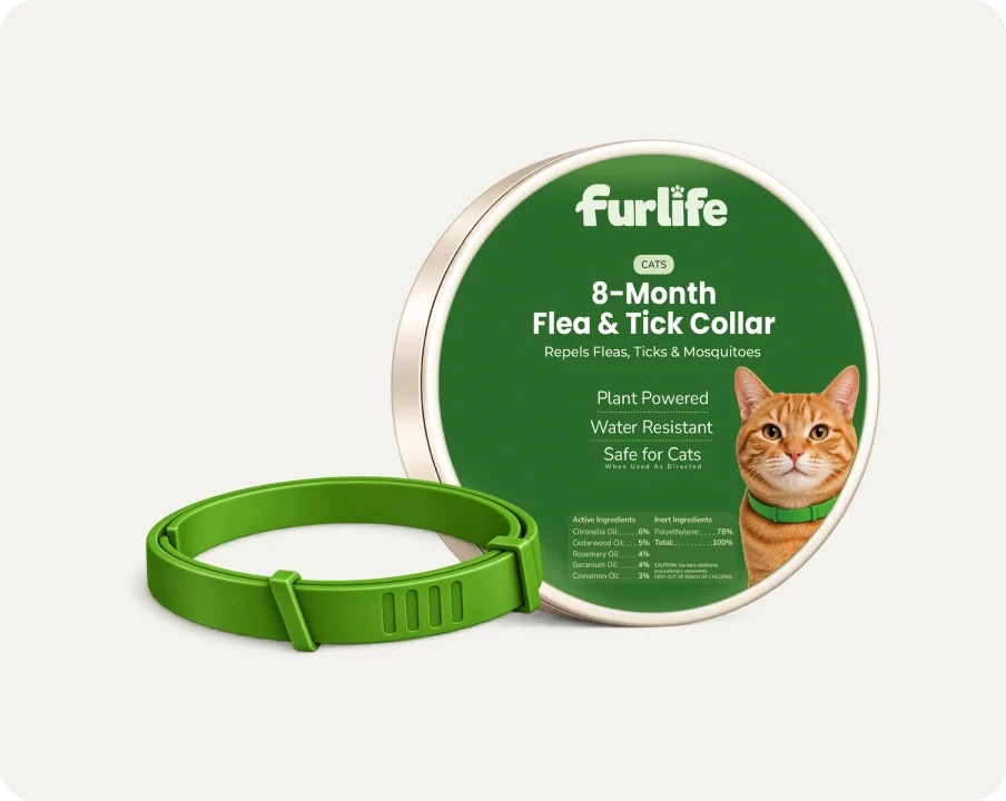 Natural Pheromone Calming Collar for Cats (TEST)