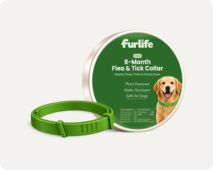 Natural Pheromone Calming Collar for Dogs (TEST)
