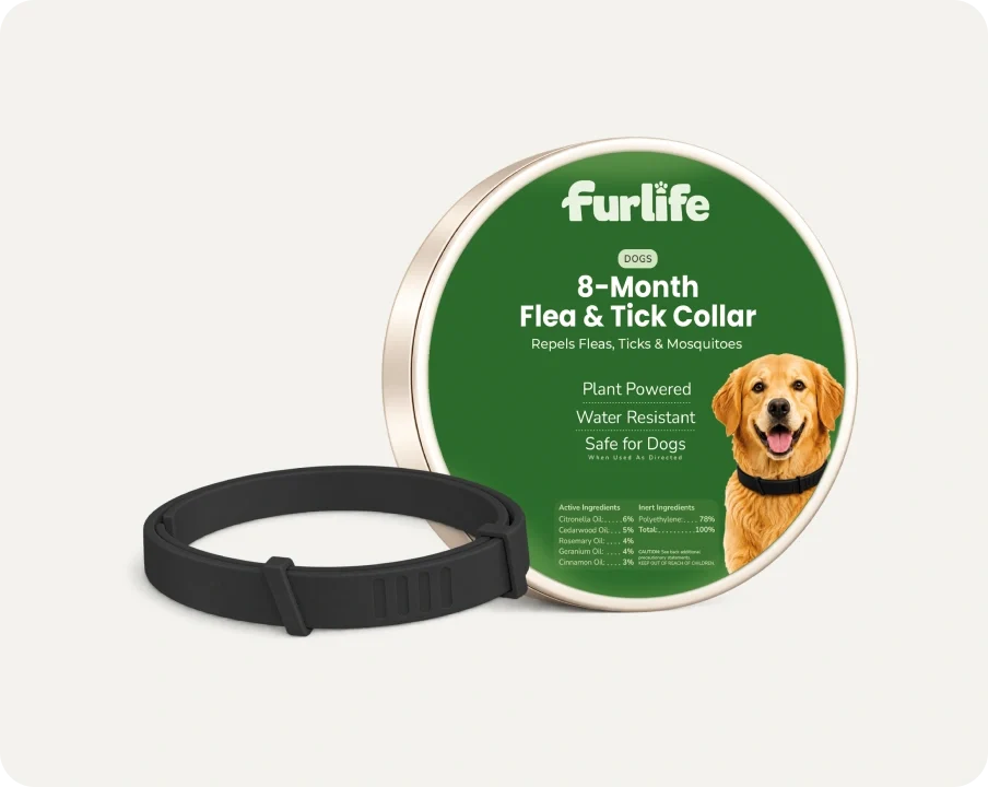 Natural Pheromone Calming Collar for Dogs (TEST)