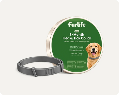 Natural Pheromone Calming Collar for Dogs (TEST)
