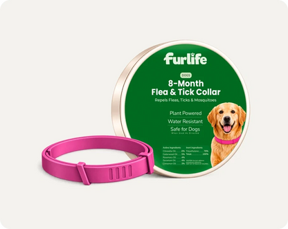 Natural Pheromone Calming Collar for Dogs (TEST)